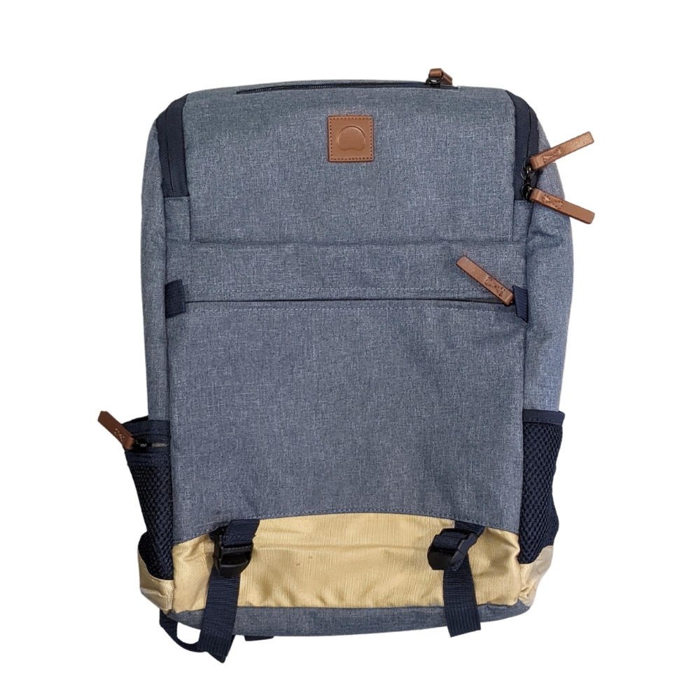Delsey Maubert Travel Backpack